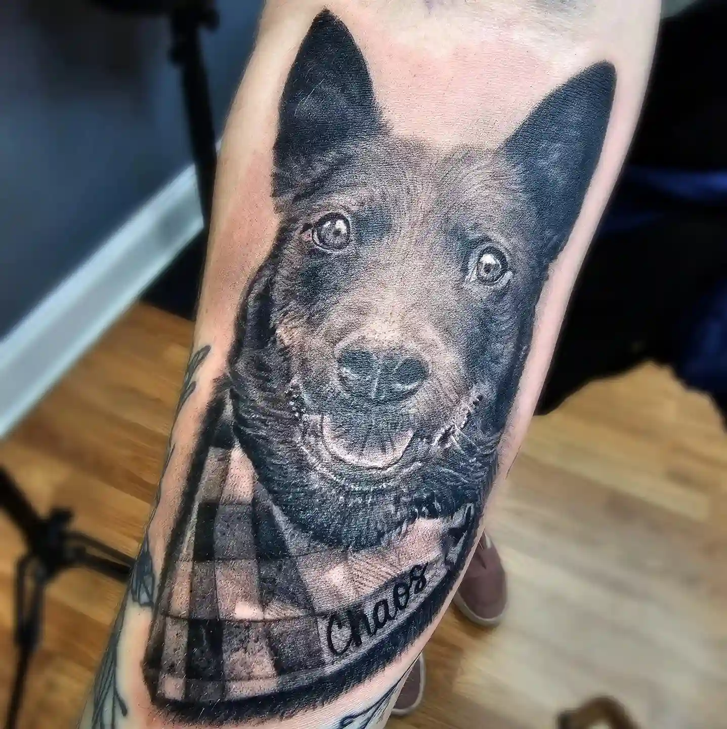 Black and grey realism dog portrait forearm tattoo with the name "Chaos" by Joel at Shadow Studio Charlotte